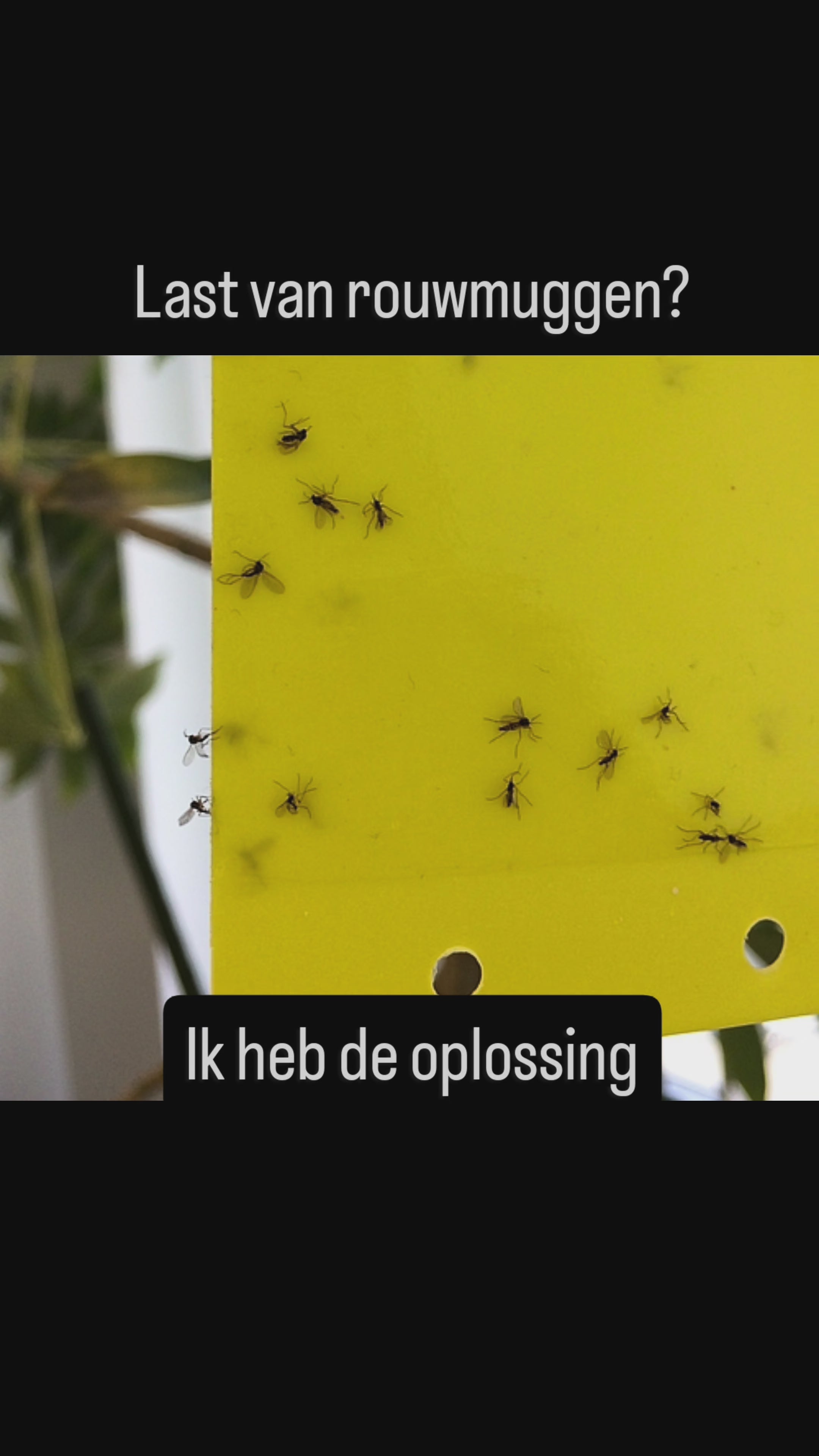 Video laden: 