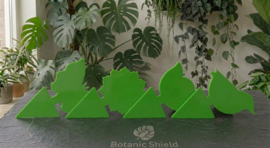 Groene vangplaatjes (20 stuks)