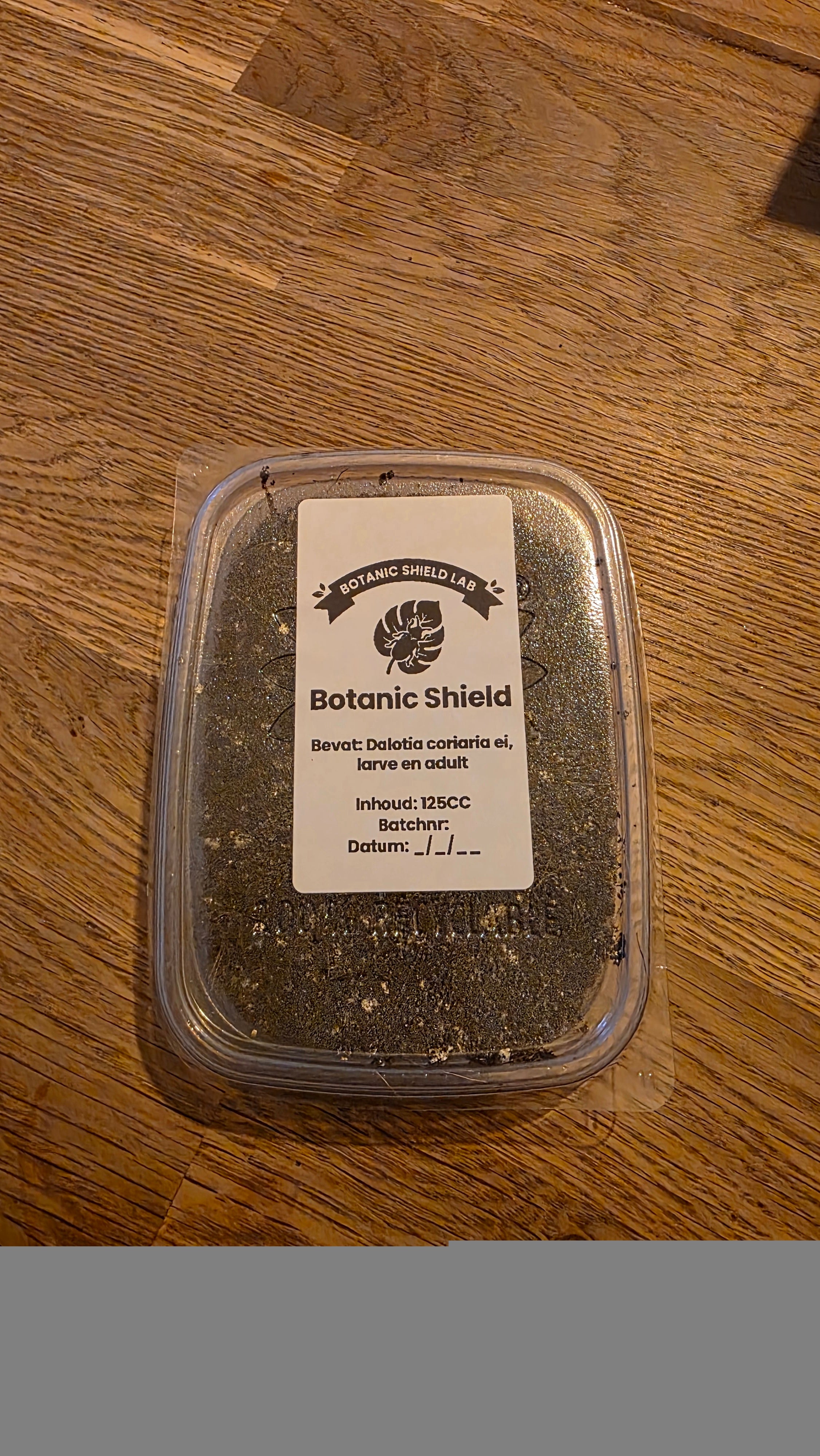 Dalotia coriaria - 250ml - (6<->8 planten)